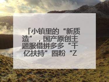 小镇里的“新质造”，国产原创主题服借拼多多“千亿扶持”圈粉“Z世代”