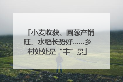 小麦收获、圆葱产销旺、水稻长势好……乡村处处是“丰”景