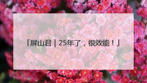 屏山君｜25年了，很效能！