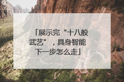展示完“十八般武艺”，具身智能下一步怎么走