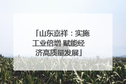 山东嘉祥：实施工业倍增 赋能经济高质量发展