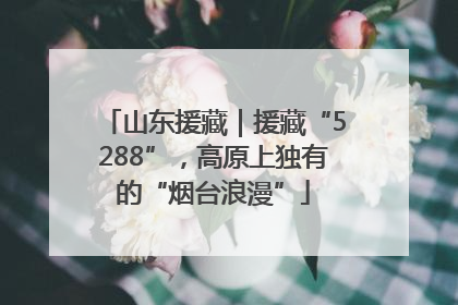 山东援藏｜援藏“5288”，高原上独有的“烟台浪漫”