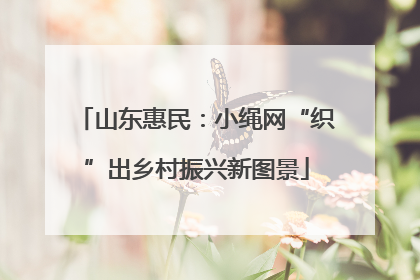 山东惠民：小绳网“织”出乡村振兴新图景