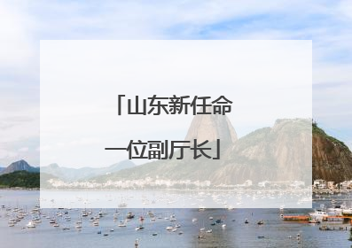 山东新任命一位副厅长