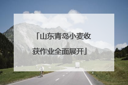 山东青岛小麦收获作业全面展开