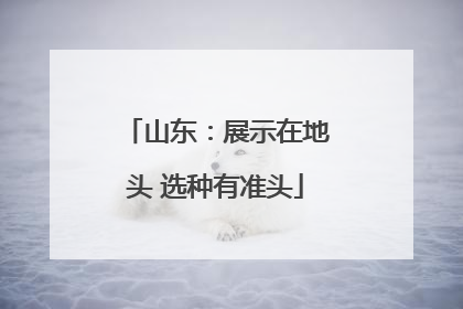 山东：展示在地头 选种有准头