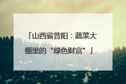 山西省昔阳：蔬菜大棚里的“绿色财富”