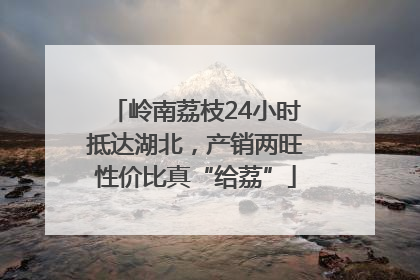 岭南荔枝24小时抵达湖北，产销两旺性价比真“给荔”