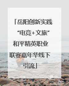 岳阳创新实践“电竞+文旅” 和平精英职业联赛嘉年华线下引流