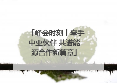 峰会时刻丨牵手中亚伙伴 共谱能源合作新篇章