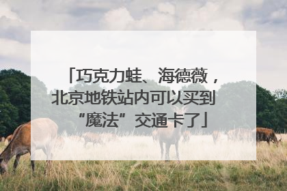 巧克力蛙、海德薇，北京地铁站内可以买到“魔法”交通卡了