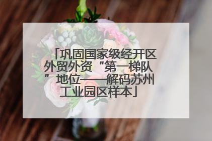 巩固国家级经开区外贸外资“第一梯队”地位——解码苏州工业园区样本