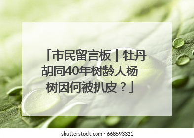 市民留言板｜牡丹胡同40年树龄大杨树因何被扒皮？