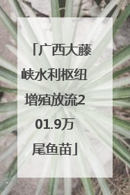 广西大藤峡水利枢纽增殖放流201.9万尾鱼苗