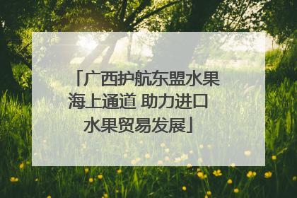 广西护航东盟水果海上通道 助力进口水果贸易发展