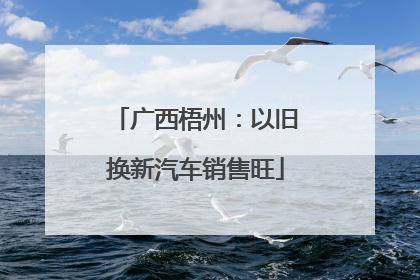 广西梧州：以旧换新汽车销售旺