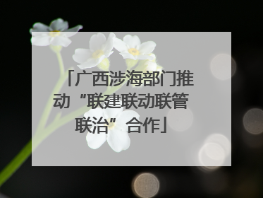 广西涉海部门推动“联建联动联管联治”合作