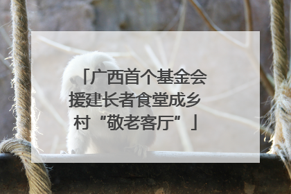 广西首个基金会援建长者食堂成乡村“敬老客厅”
