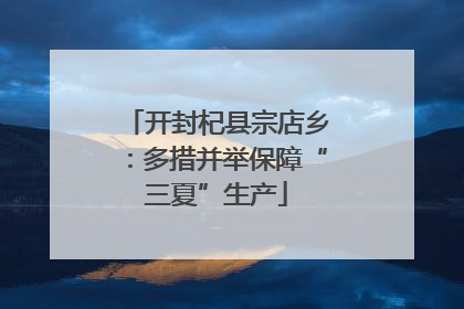 开封杞县宗店乡：多措并举保障“三夏”生产