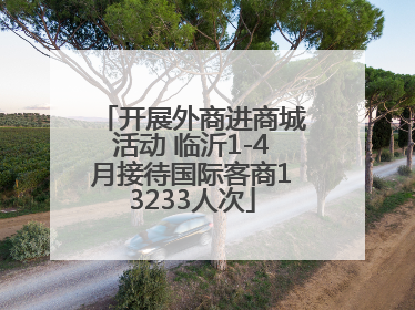 开展外商进商城活动 临沂1-4月接待国际客商13233人次