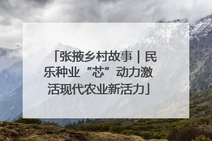 张掖乡村故事｜民乐种业“芯”动力激活现代农业新活力