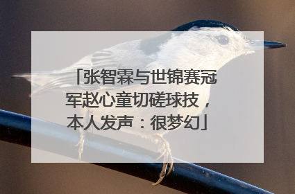 张智霖与世锦赛冠军赵心童切磋球技，本人发声：很梦幻