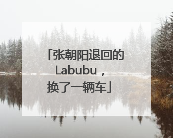 张朝阳退回的Labubu，换了一辆车