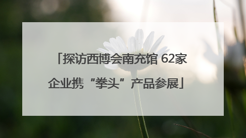 探访西博会南充馆 62家企业携“拳头”产品参展