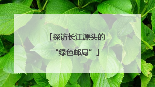 探访长江源头的“绿色邮局”