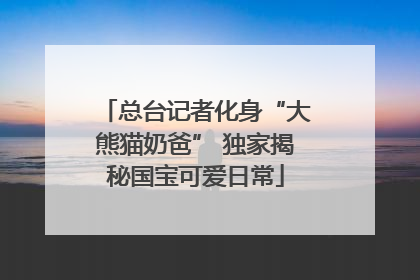 总台记者化身“大熊猫奶爸” 独家揭秘国宝可爱日常