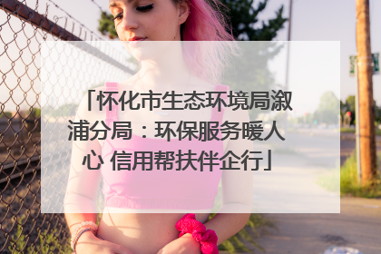 怀化市生态环境局溆浦分局：环保服务暖人心 信用帮扶伴企行