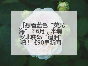 想看蓝色“荧光海”？6月，来瑞安北麂岛“追泪”吧！《90早新闻》来了