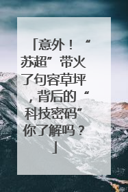 意外！“苏超”带火了句容草坪，背后的“科技密码”你了解吗？
