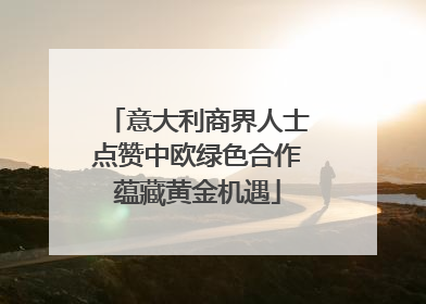 意大利商界人士点赞中欧绿色合作蕴藏黄金机遇