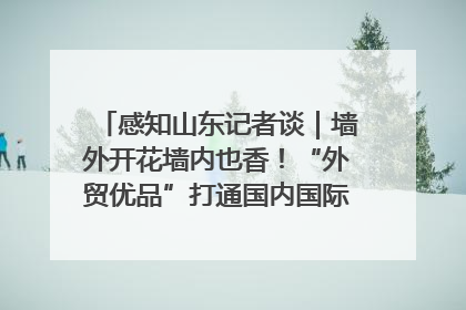 感知山东记者谈｜墙外开花墙内也香！“外贸优品”打通国内国际市场“旋转门”