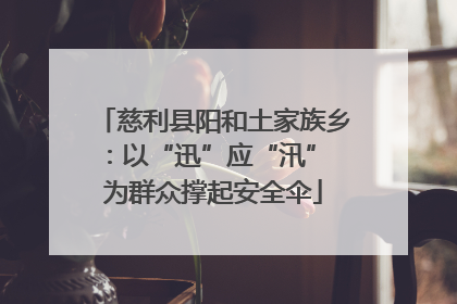 慈利县阳和土家族乡：以“迅”应“汛” 为群众撑起安全伞