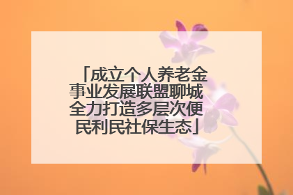 成立个人养老金事业发展联盟聊城全力打造多层次便民利民社保生态