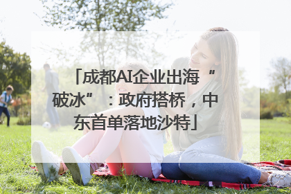 成都AI企业出海“破冰”：政府搭桥，中东首单落地沙特