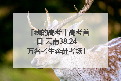 我的高考｜高考首日 云南38.24万名考生奔赴考场