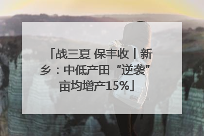 战三夏 保丰收丨新乡：中低产田“逆袭” 亩均增产15%