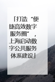 打造“便捷高效数字服务圈”，上海启动数字公共服务体系建设