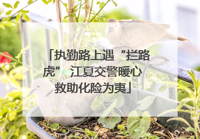 执勤路上遇“拦路虎” 江夏交警暖心救助化险为夷