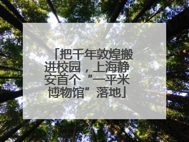 把千年敦煌搬进校园，上海静安首个“一平米博物馆”落地