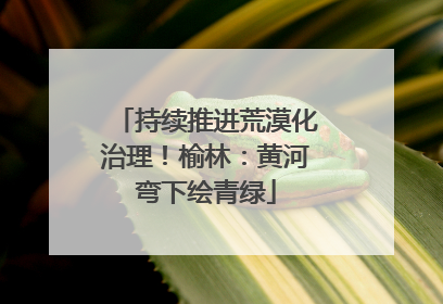 持续推进荒漠化治理！榆林：黄河弯下绘青绿