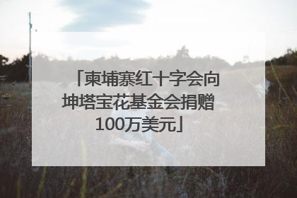 柬埔寨红十字会向坤塔宝花基金会捐赠100万美元