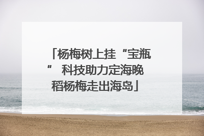 杨梅树上挂“宝瓶” 科技助力定海晚稻杨梅走出海岛