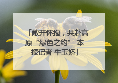 敞开怀抱，共赴高原“绿色之约” 本报记者 牛玉娇