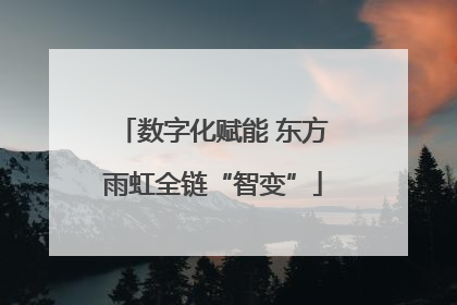 数字化赋能 东方雨虹全链“智变”