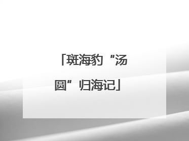 斑海豹“汤圆”归海记