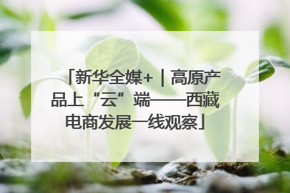 新华全媒+｜高原产品上“云”端——西藏电商发展一线观察